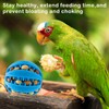 KCMOSGI 2 PCS Parrot Feeder Chew Toy Balls, Bird Treat