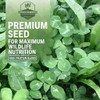 Hale Habitat & Seed Clovers, Alfalfa, & Chicory Food Plot