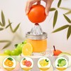 LemonRoad 4 Pcs Stainless Steel Mason Jar Juicer Lid Manual