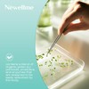 Newellme Happy Cleanse - Superfood Powder/Probiotics/Digestive Enzymes/Moringa - Supports gut
