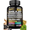 Pure Himalayan Shilajit Blend with Energy-Boosting Ashwagandha, Rhodiola Rosea, Panax Ginseng, Turmeric, Gingko Biloba, Stinging Nettle, and Cordyceps Mushroom - Potent Herbal Support Formula
