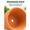 16-Pack Mini Terracotta Pots for Succulents & Cactus – 1.8-Inch