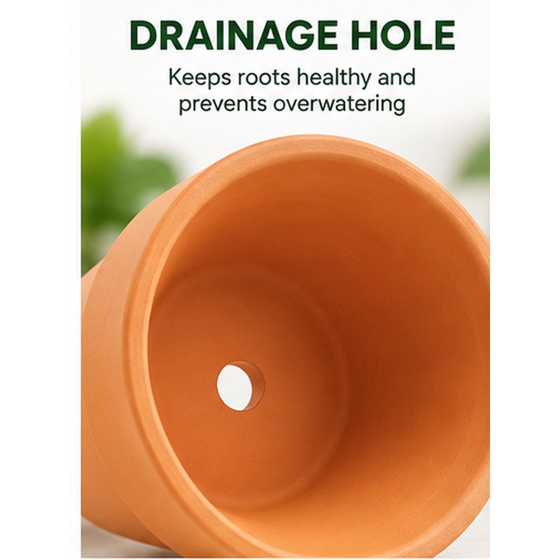 16-Pack Mini Terracotta Pots for Succulents & Cactus – 1.8-Inch