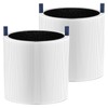 2 Pack Mini Max Replacement Filter Compatible with Blueair Blue