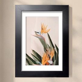 LaVie Home 10 x 13 Picture Frame Black Poster Frame,Display Pictures 8x10 with Mat or 10x13 Without Mat, Stable and Sturdy Frame and Polished Plexiglass, Horizontal and Vertical Format of The Walls