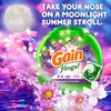 Gain Flings Laundry Detergent Pacs, 60 Count, Moonlight Breeze Scent,