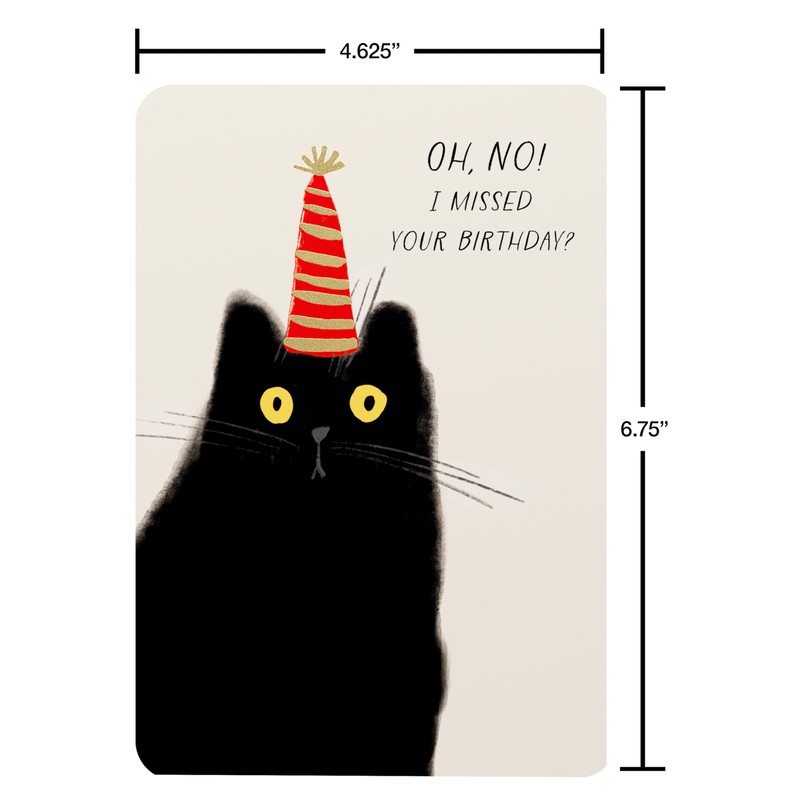 American Greetings Funny Belated Birthday Card (Catnapped)
