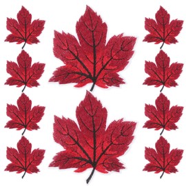 COHEALI 10pcs Embroidered Patches Iron Maple for Appliques Leaf On Clothes
