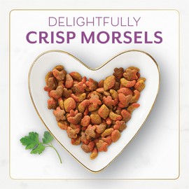 Fancy Feast Dry Cat Food with Savory Chicken and Turkey - 12 lb. Bag