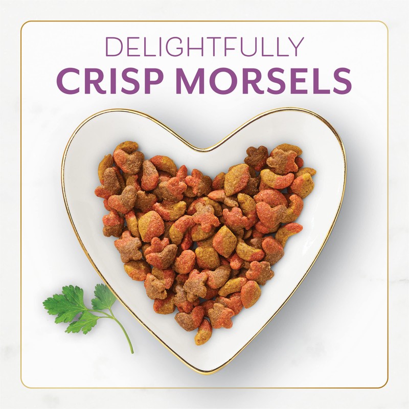 Fancy Feast Dry Cat Food with Savory Chicken and Turkey