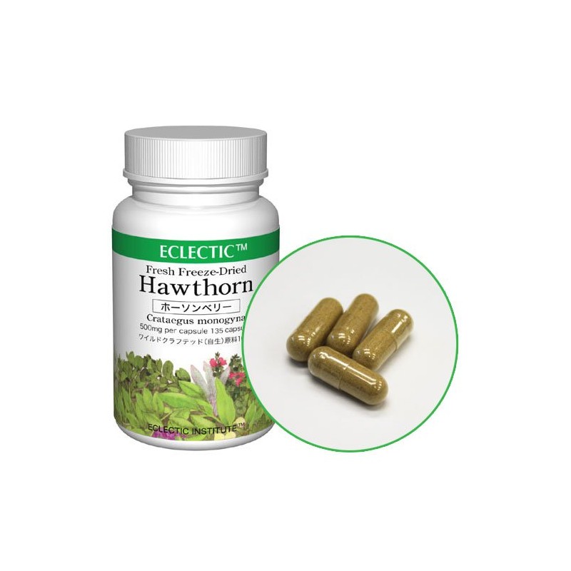 ekurekutexikku ho-sonberi- FFD