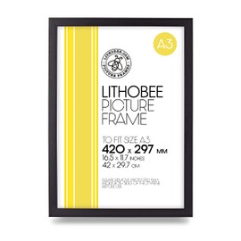 Lithobee - Black Brushed Stylish Quality Coloured Frame comes in Sizes A3 & A4 Ideal for Home Bedrooms Living Rooms Offices and Framing Photographs, Prints and Artwork
