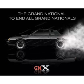 Buick GNX  WE4   GNX,  Poster   Buick GNX.   Buick Grand National