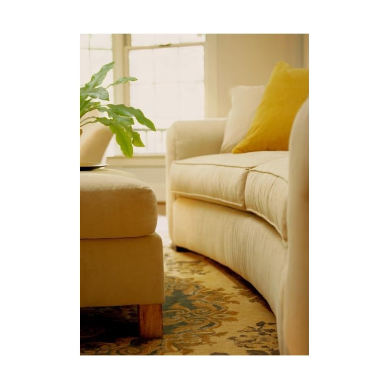 HOWARD Products Upholstery Cleaner for Furniture, Couches, Chairs, Rugs, and