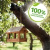 Solabiol Tree Wound Wax, Ready-to-Use Wound Fastener for Fruit Trees