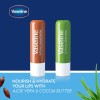 Lip Therapy Variety 4-Pack – Cocoa Butter + Aloe Vera
