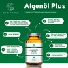 QIDOSHA Omega 3 Algae Oil Capsules Plus Vitamin D3 and