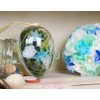 Baby Blue Tissue Sheets - (10 Ct) - Perfect for