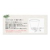 Amabro Art Stone Saucer [Black/Medium] AMABRO ART STONE SAUCER