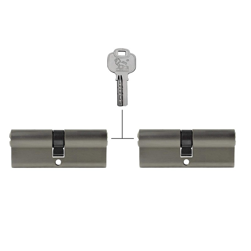 2x Profile Cylinder 100 mm 50/50 Simultaneous Locking Including 10