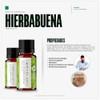 Vida Scents Aceite Esencial Aromaterapia 10ml Difusores Humidificadores 100 Puro