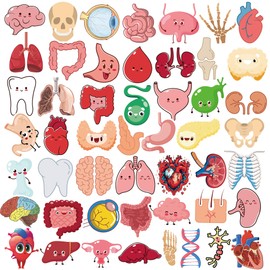 Dorgua 50Pcs Cute Cartoon Body Organs Stickers, Human Organ Sticker, Human Biology Student Stickers for Doctors Nurses Teacher, Vinyl Sticker for Adults Water Bottle Laptop Decor Party Favors Gifts
