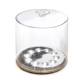 Pop Frog LED Lantern, Solar Charging, Waterproof, Foldable, Daylight, 4 Different Flashing Modes, Waterproof, Foldable, Solar Charging, Solar Light, Energy Saving, Camping, Outdoors, Typhoon, LED