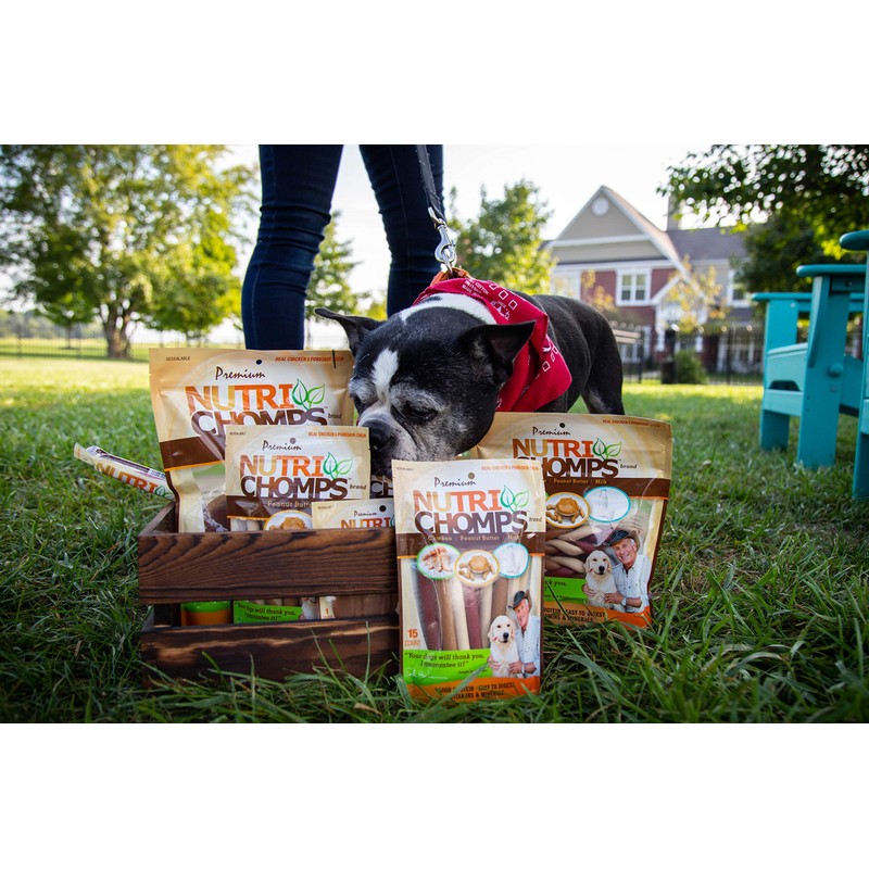 Scott Pet Nt023 Nutri Chomps Braid Pb Flavor Dog Chew