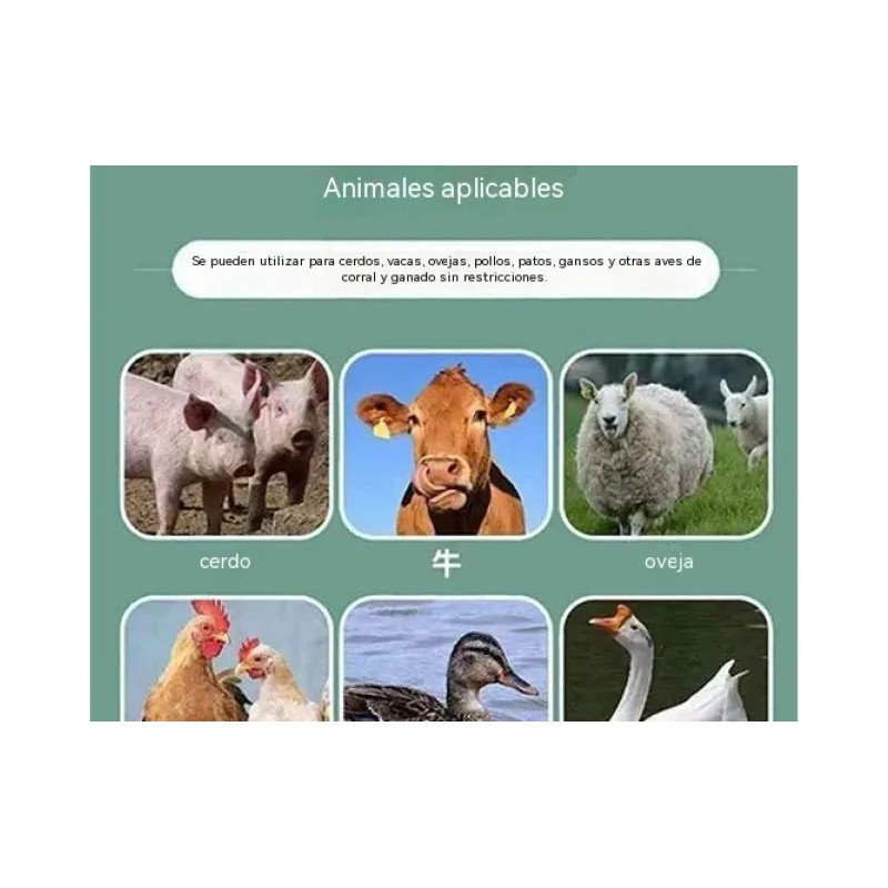 Suplemento Cuidado Animal Natural 200g Aves Ganado Cerdos Va