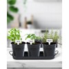 MoFarbe Herb Pots for Kitchen & Windowsill | Kitchen Herb