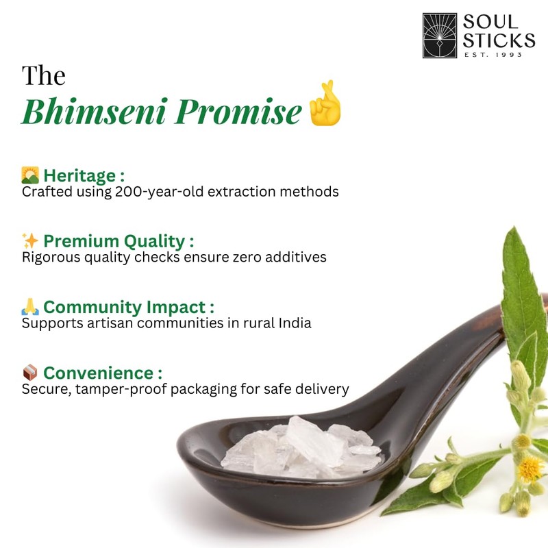 ANCIENT VEDA 100% Pure Natural Bhimseni Camphor Tablet | Aromatherapy