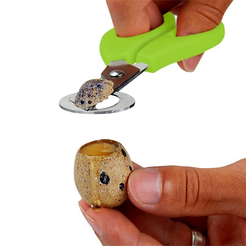 Quailzz Quail Egg Scissors Made of Stainless Steel - Quail