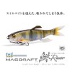 MAGDRAFT HASU RAVER Lake Loquat Pro Blue
