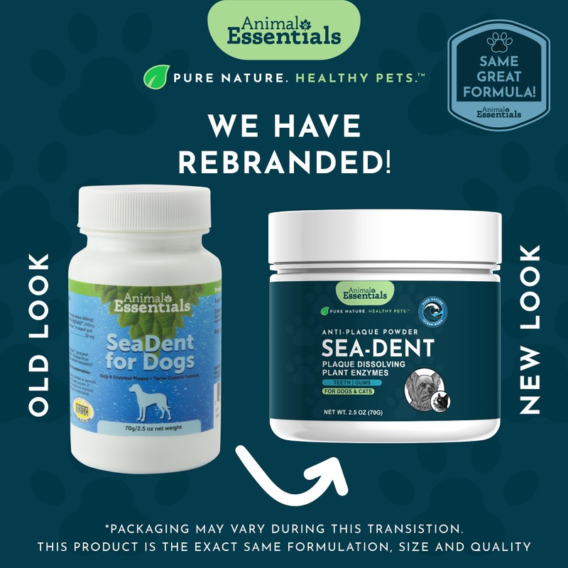 Animal Essentials SeaDent for Dogs - Kelp and Enzymes Plaque,