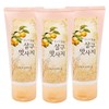 Debon 드봉 살구씨 듬뿍 살구맛사지 스크럽 클렌징 폼 120g x3개