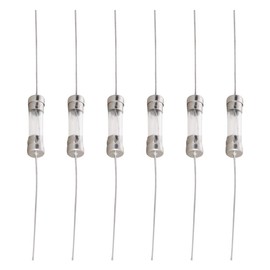 Fielect Glass Tube Fuses Axial with Lead Wire Slow-Blow 5x20mm 2A 250V Time Delay Fuses for Replacing or Repairing Many Home Electronics 6Pcs (T2A)