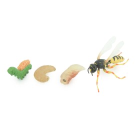 Collectible Wildlife Gifts Hornet, Wasp Life Cycle, 4 Piece Toy Set, Realistic Rubber Model, 3" CH995 BB215