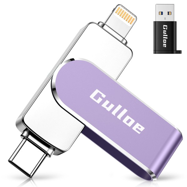 Gulloe Gulloe 256GB Flash Drive Intended for iPhone, Memory Stick