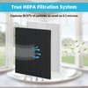 ThingRay HR900 Replacement Compatible with Winix HR900,H13 True HEPA &