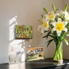 AITEE 4x6 Acrylic Postcard Frames 3 Pack: 20% Thicker Block,