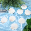 GlikCeil 100 Pcs Sea Shell for Crafting Natural Large Scallop