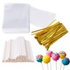 300pcs 6 Inches Cake Pops Supplies Cake Pops Making Tools