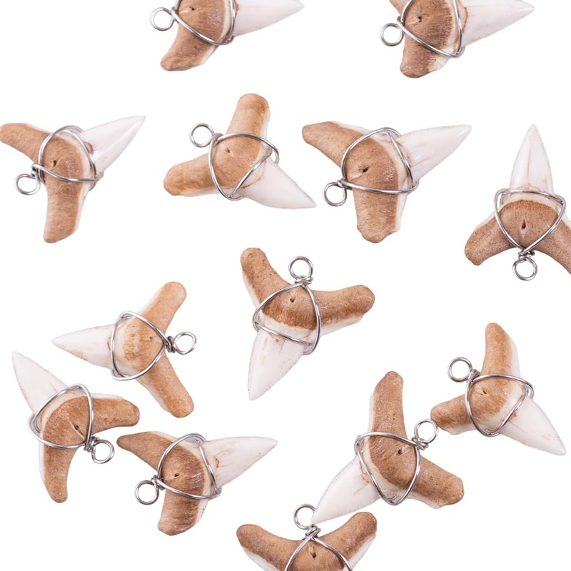 BlueRica Shark Tooth on Puka & Tiger Brown Coconut Shell