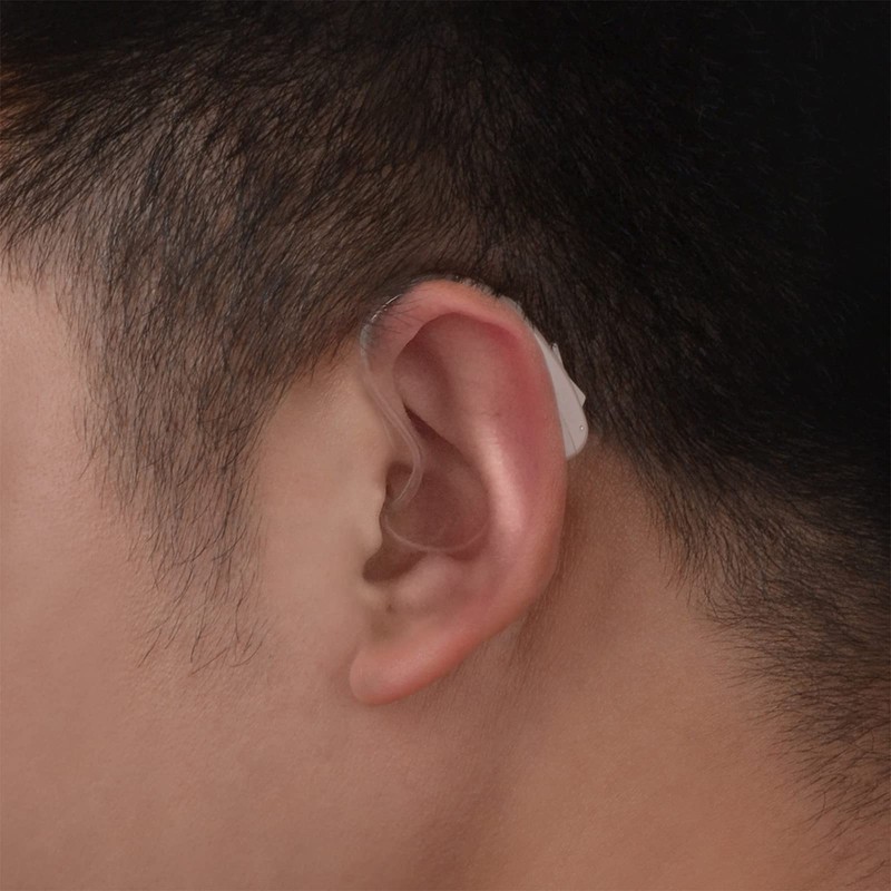 Banglijian Hearing Aid Ziv-201A Rechargeable Digital Noise Cancelling Small Size