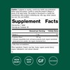 Standard Process Echinacea-C - Supplement for Immune System Support -