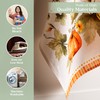 Maison d' Hermine Kitchen Towels Set of 3 100% Cotton