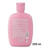 Shampoo Moisture Nutritivo Alfaparf 250ml