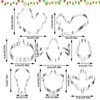 Turkey Leg Cookie Cutter,Turkey Shaped Cookie Cutter,Thanksgiving Cookie Decorating kit,Thanksgiving