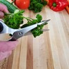 Ergo Chef All Purpose Kitchen Shears, Premium Heavy Duty Stainless-Steel