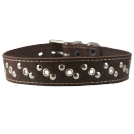 Genuine Leather Studded Dog Collar 22"x1" Brown Fits 15"-19.5" Neck